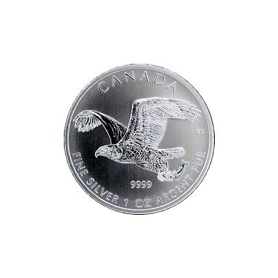 Přední strana Stříbrná investiční mince Orel bělohlavý Birds of Prey 1 Oz 2014