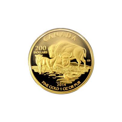 Přední strana Zlatá mince Bizon doma na pláních 1 Oz 2014 Proof