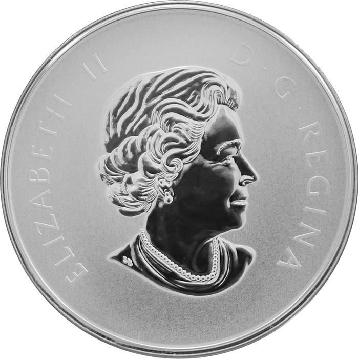 Stříbrná mince Maple Leaf Forever 2011 Standard