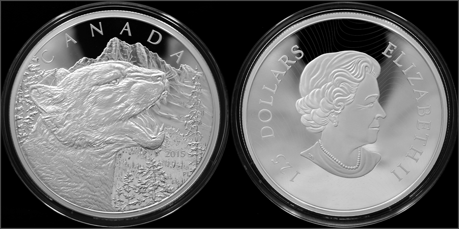 Stříbrná mince 500g Growling Cougar 2015 Proof (.9999)