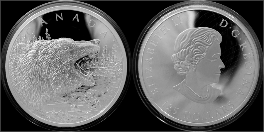 Strieborná minca 500g Roaring Grizzly 2016 Proof (.9999)