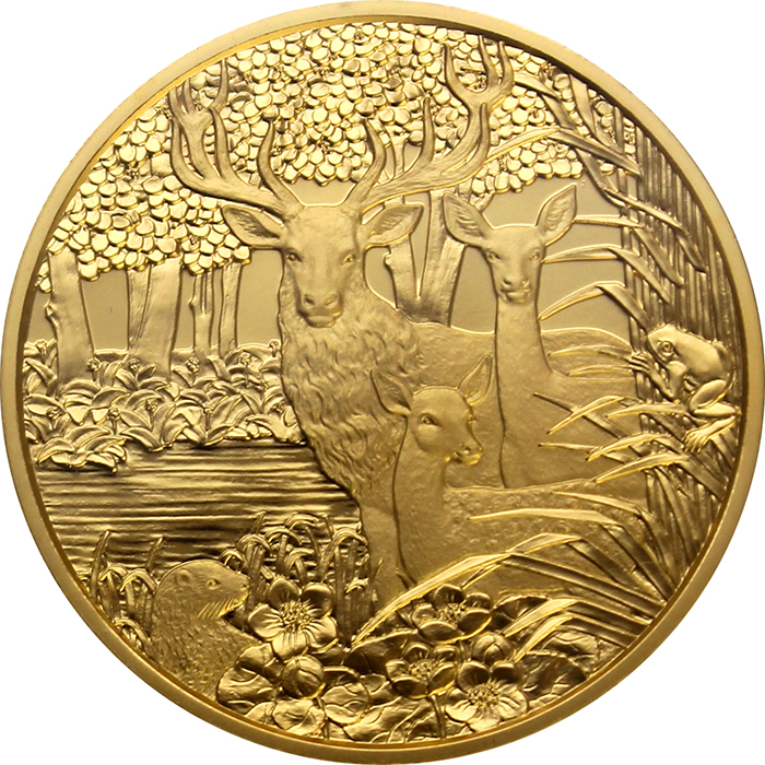 Zadní strana Zlatá mince Jelen evropský 2013 Proof