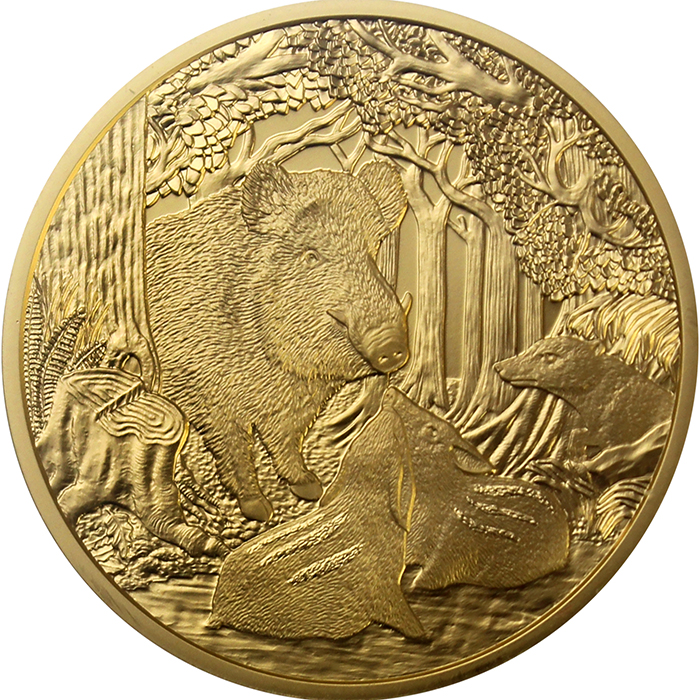 Zadní strana Zlatá mince Prase divoké 2014 Proof