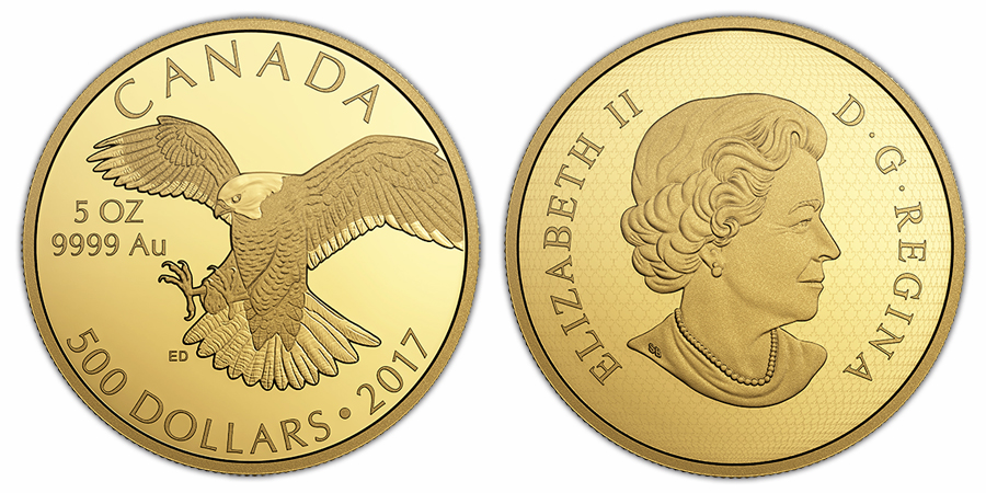 Zadní strana Zlatá mince 5 Oz Sokol Stěhovavý 2017 Proof