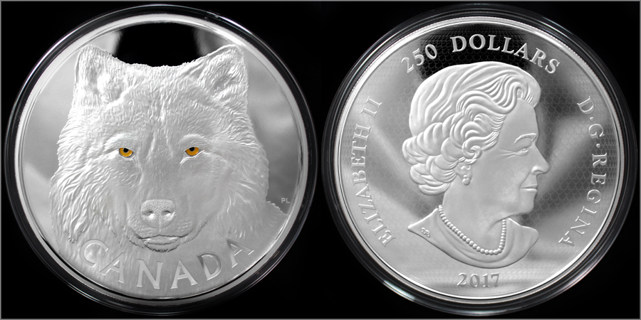 Strieborná minca 1 Kg Očami vlka sivého 2017 Proof
