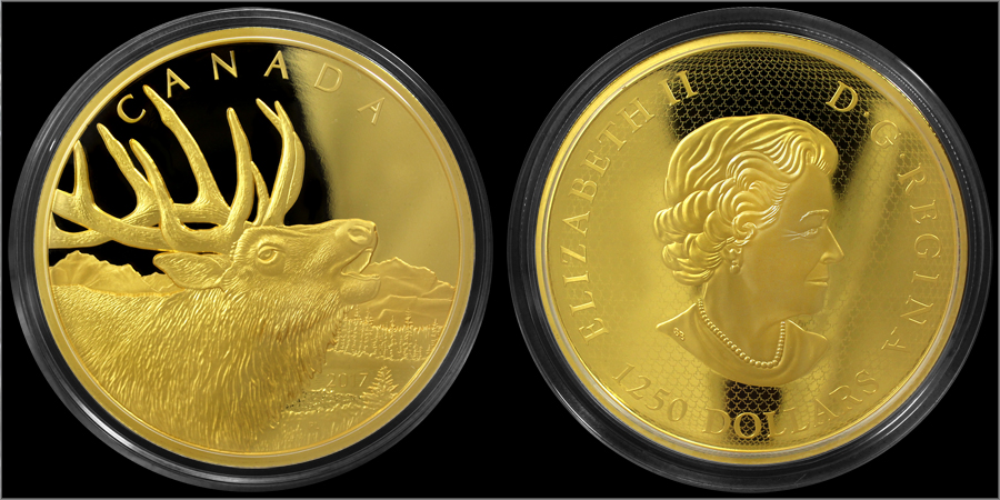 Zadní strana Zlatá mince Elk 500g 2017 Proof