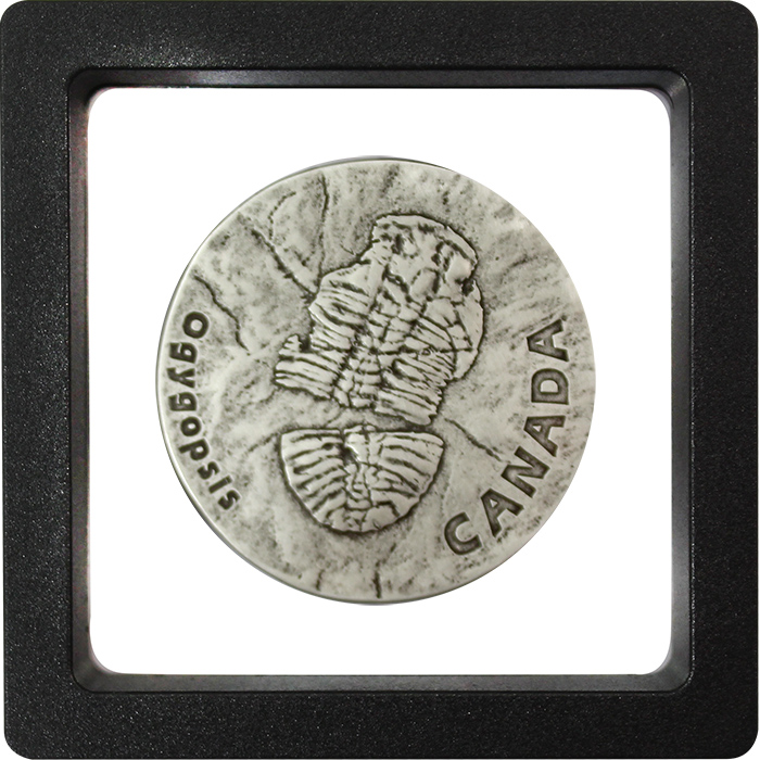 Strieborná minca Ogygopsis 1 Oz 2017 Antique Štandard
