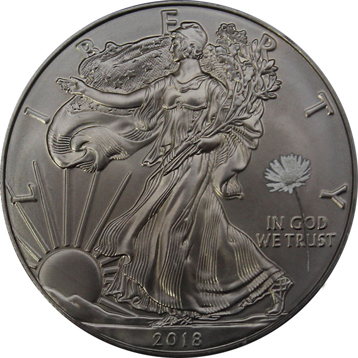 American Eagle Štyri ročné obdobia Sada strieborných Ruténium mincí 2018 Standard
