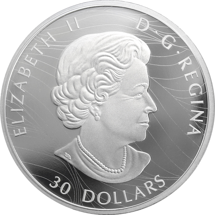 Stříbrná mince 2 Oz Kanadská klenba - The Canada Goose 2019 Proof