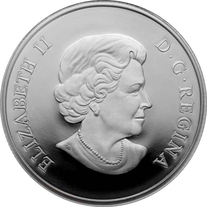 Stříbrná mince Květy růže Queen Elizabeth 1/4 Oz 2019 Proof