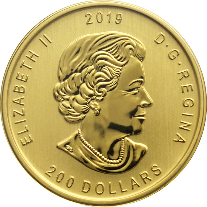 Zlatá investiční mince Moose 1 Oz 2019 (.99999)