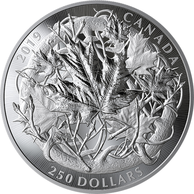 Canadian Maple Masters Collection Sada stříbrných mincí 2019 Proof