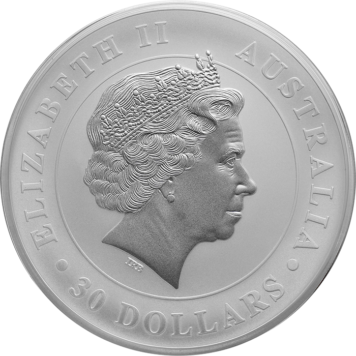 Stříbrná investiční mince Koala 1Kg 2014