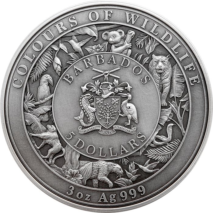 Stříbrná mince 3 Oz Barvy divočiny - Tygr 2021 Antique Standard