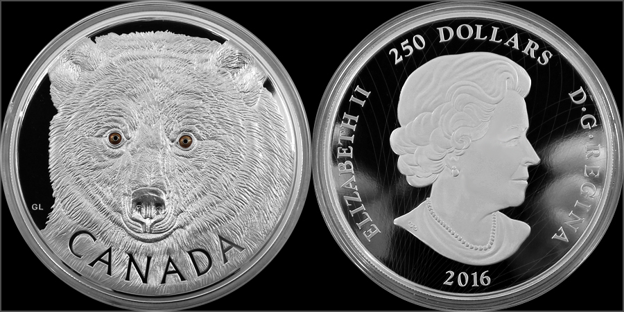 Strieborná minca 1 Kg Očami kermodského medveďa 2016 Proof (.9999)