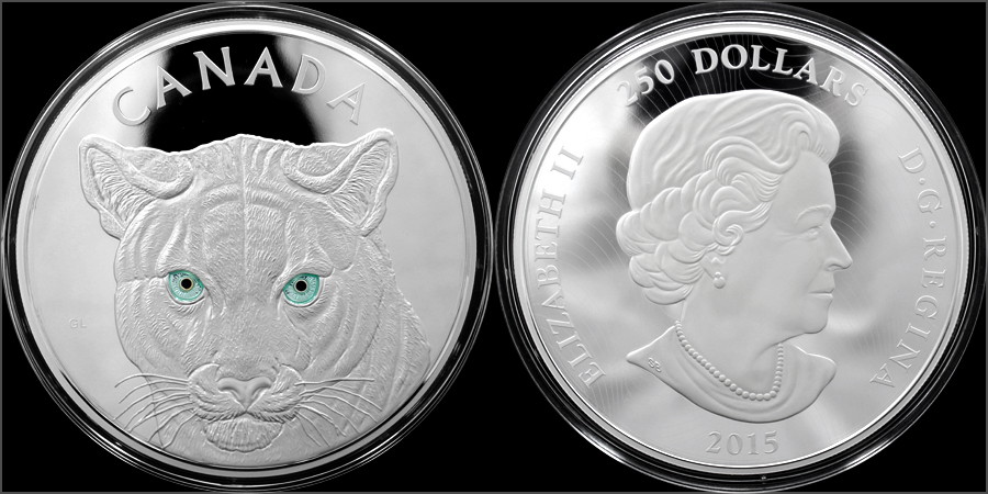 Stříbrná mince 1 Kg Očima pumy 2015 Proof (.9999)