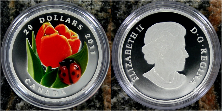 Zadní strana Strieborná minca Tulipán so sklenenou lienkou 2011 Proof