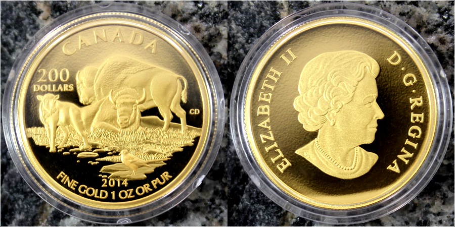Zlatá mince Bizon doma na pláních 1 Oz 2014 Proof