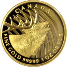 Zlatá minca Elk 1 Oz 2017 Proof (.99999)