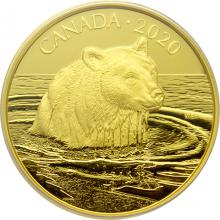 Zlatá minca Medveď grizzly 2020 Proof (.99999)