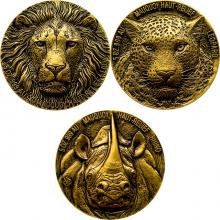 Sada zlatých mincí African Big Five High Relief Antique Štandard
