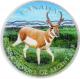 Strieborná kolorovaná minca Antilopa Canadian Wildlife 1 Oz 2013 Štandard