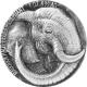Stříbrná mince 5 Oz Slon The African Big Five High Relief 2017 Antique Standard