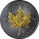 Stříbrná Ruthenium mince pozlacený Maple Leaf 1 Oz Golden Enigma 2017 Standard