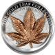 Strieborná minca 3D Zlatý Japanese Maple Leaf 1 Oz Gold Leaf Collection 2017 Proof