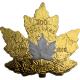 Zlatá pokovaná minca Maple Leaf 1 Oz - 30. výročie 2018 Proof