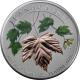Platinová mince Maple Leaf Forever 1 Oz 2017 Proof