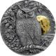 Stříbrná pozlacená mince 2 Oz Kalous ušatý 2019 Antique Standard