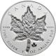 Strieborná minca Maple Leaf 1 Oz - Super Incuse 2021 Proof
