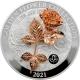 Stříbrná mince 1 kg Golden Flower Collection - zlatá 3D růže 2021 Proof