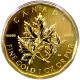 Zlatá investiční mince Maple Leaf 1 Oz 2007 (.99999)